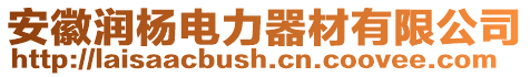 安徽潤楊電力器材有限公司