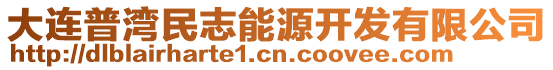 大連普灣民志能源開(kāi)發(fā)有限公司