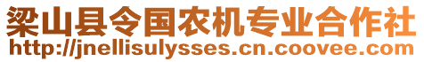 梁山縣令國農(nóng)機(jī)專業(yè)合作社