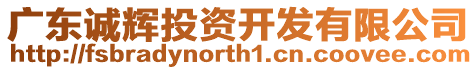 廣東誠輝投資開發(fā)有限公司