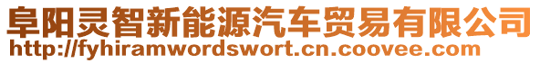 阜陽(yáng)靈智新能源汽車貿(mào)易有限公司