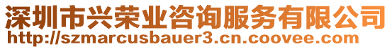 深圳市興榮業(yè)咨詢服務(wù)有限公司