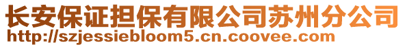 長(zhǎng)安保證擔(dān)保有限公司蘇州分公司