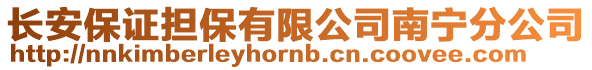 長安保證擔保有限公司南寧分公司