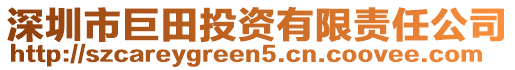 深圳市巨田投資有限責(zé)任公司