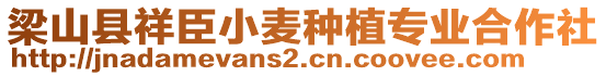 梁山縣祥臣小麥種植專業(yè)合作社