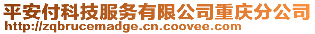 平安付科技服務(wù)有限公司重慶分公司