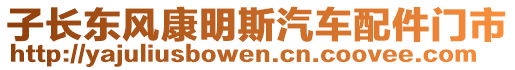 子長(zhǎng)東風(fēng)康明斯汽車配件門市