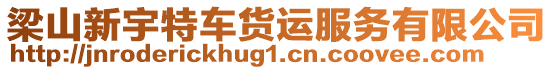 梁山新宇特車貨運(yùn)服務(wù)有限公司