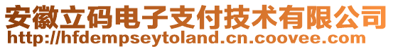 安徽立碼電子支付技術(shù)有限公司