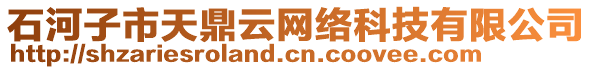 石河子市天鼎云網(wǎng)絡(luò)科技有限公司