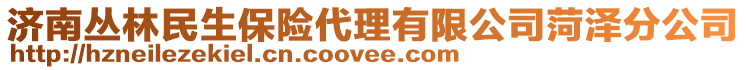 濟南叢林民生保險代理有限公司菏澤分公司