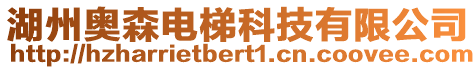湖州奧森電梯科技有限公司