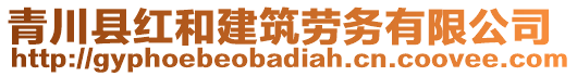 青川縣紅和建筑勞務有限公司