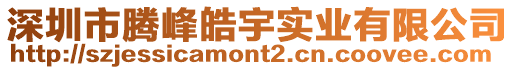 深圳市腾峰皓宇实业有限公司