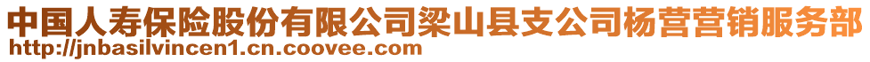 中國人壽保險股份有限公司梁山縣支公司楊營營銷服務(wù)部