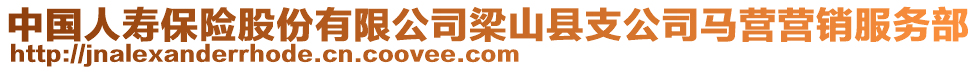 中国人寿保险股份有限公司梁山县支公司马营营销服务部