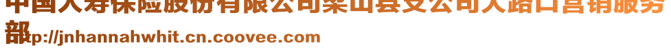 中国人寿保险股份有限公司梁山县支公司大路口营销服务
部