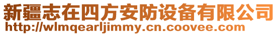 新疆志在四方安防設備有限公司