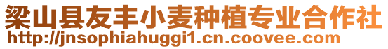 梁山縣友豐小麥種植專業(yè)合作社