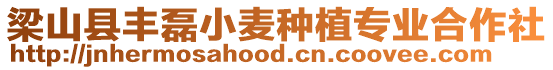 梁山縣豐磊小麥種植專業合作社