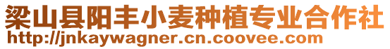 梁山縣陽豐小麥種植專業合作社