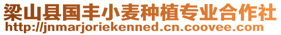 梁山縣國豐小麥種植專業合作社