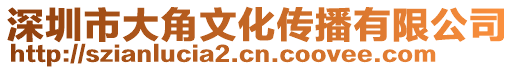 深圳市大角文化傳播有限公司