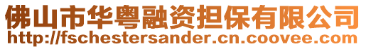佛山市華粵融資擔保有限公司