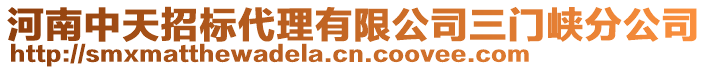 河南中天招標代理有限公司三門峽分公司