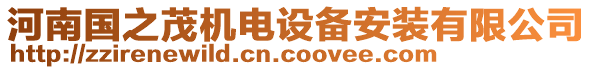 河南國(guó)之茂機(jī)電設(shè)備安裝有限公司