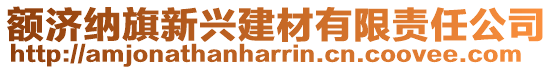 額濟納旗新興建材有限責任公司