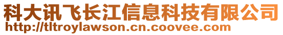 科大訊飛長(zhǎng)江信息科技有限公司