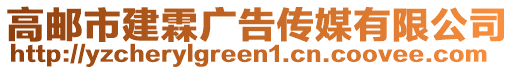 高郵市建霖廣告?zhèn)髅接邢薰? style=