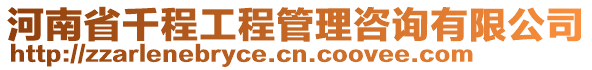 河南省千程工程管理咨詢有限公司