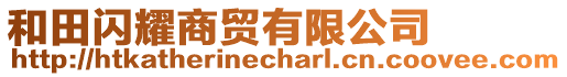 和田閃耀商貿(mào)有限公司