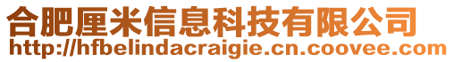 合肥厘米信息科技有限公司