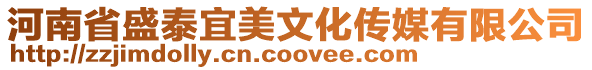 河南省盛泰宜美文化傳媒有限公司