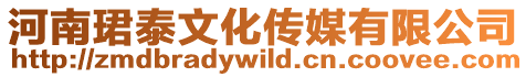 河南珺泰文化傳媒有限公司
