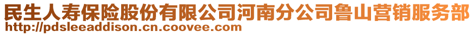 民生人寿保险股份有限公司河南分公司鲁山营销服务部