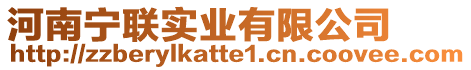 河南寧聯(lián)實(shí)業(yè)有限公司