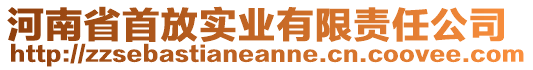 河南省首放實業有限責任公司