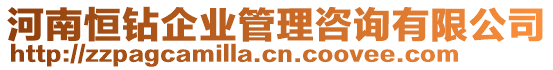 河南恒鉆企業(yè)管理咨詢有限公司