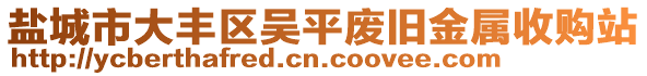 鹽城市大豐區(qū)吳平廢舊金屬收購站