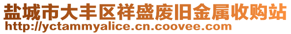 鹽城市大豐區(qū)祥盛廢舊金屬收購站