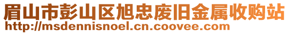 眉山市彭山區(qū)旭忠廢舊金屬收購(gòu)站