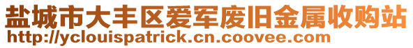 鹽城市大豐區(qū)愛軍廢舊金屬收購站