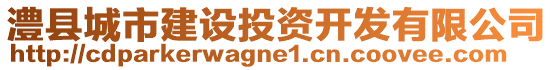 澧縣城市建設投資開發(fā)有限公司