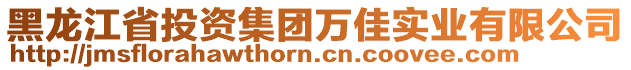 黑龍江省投資集團(tuán)萬佳實業(yè)有限公司