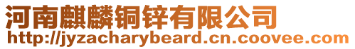 河南麒麟銅鋅有限公司
